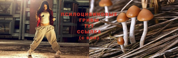 таблы Бердск